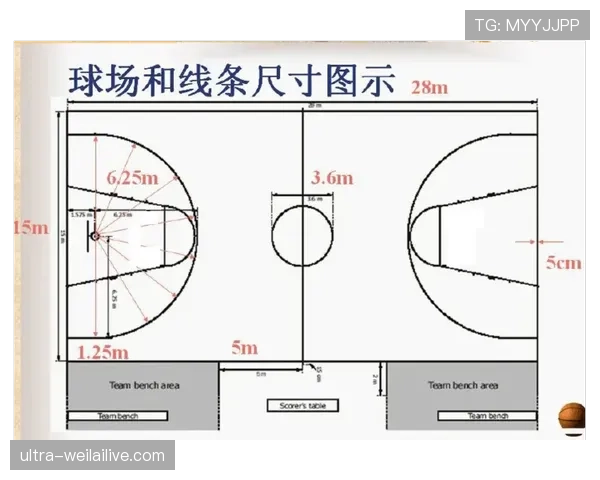 篮球场上被拉人的处罚后果及其判定标准详解